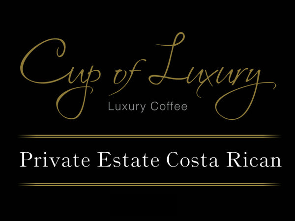 Private Estate Costa Rican